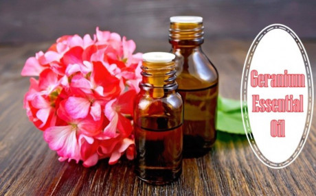 Tinh dầu thiên nhiên chống lão hóa